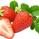 Tehnologia de păstrare a căpșunelor şi a fructelor de arbuști fructiferi