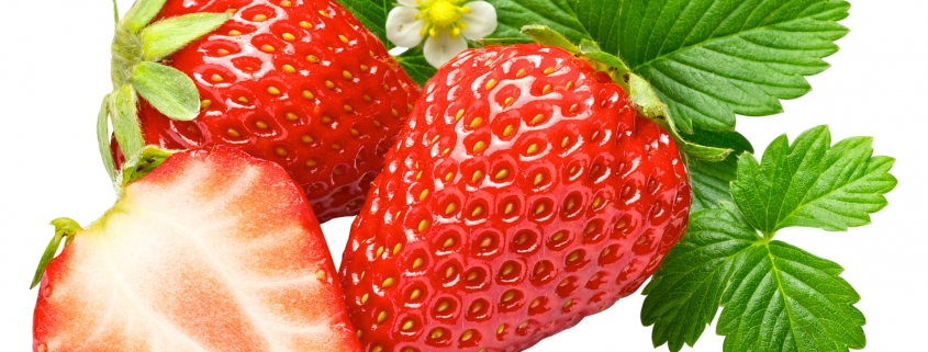 Tehnologia de păstrare a căpșunelor şi a fructelor de arbuști fructiferi